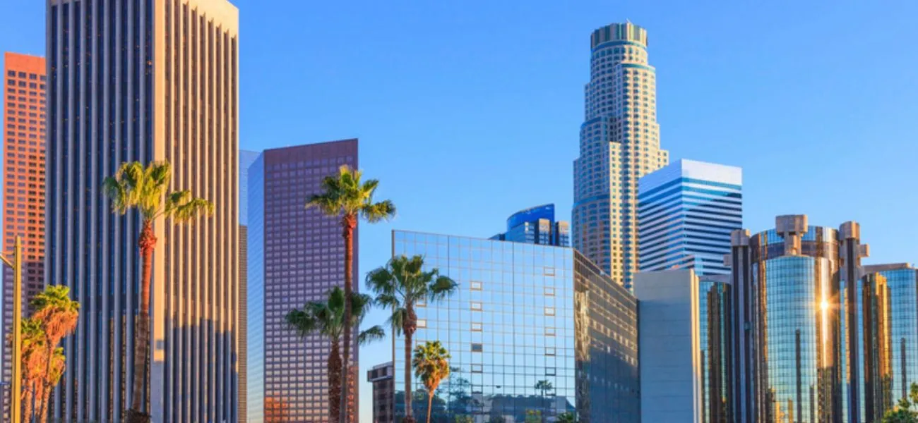 Los Angeles, California skyline, Whitwell & Co. virtual advisory services