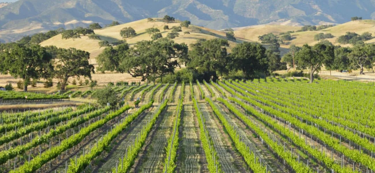 Santa Barbara, California coastline, Whitwell & Co. virtual advisory services